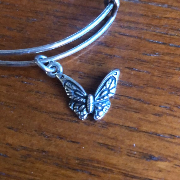 🦋Alex and Ani 🦋 Charm Bracelet - Picture 6 of 6